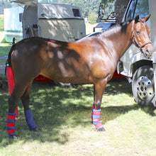 Load image into Gallery viewer, Paddock/Work Boot - Fleece